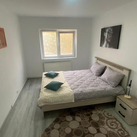 Apartment Dabic Remote And Fun Brašov Exteriér fotografie