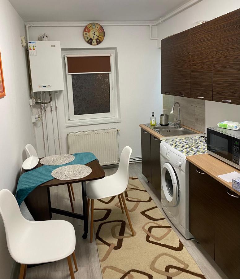 Apartment Dabic Remote And Fun Brašov Exteriér fotografie