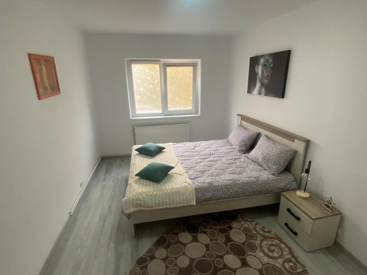 Apartment Dabic Remote And Fun Brašov Exteriér fotografie