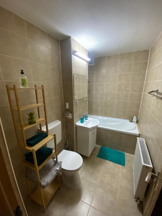 Apartment Dabic Remote And Fun Brašov Exteriér fotografie